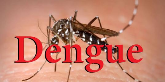 स्वास्थ्य विभाग ने डेंगू व चिकनगुनिया के मरीजों को देखते हुए गाइडलाइन किए जारी